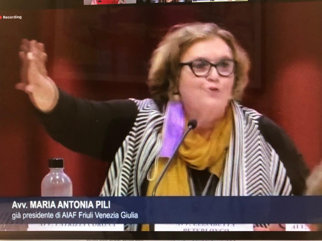 Si è svolto oggi il webinar su LA NEGOZIAZIONE ASSISTITA IN AMBITO FAMILIARE – ASPETTI GENERALI E PROFILI DEONTOLOGICI organizzato da AIAF Trentino Alto Adige